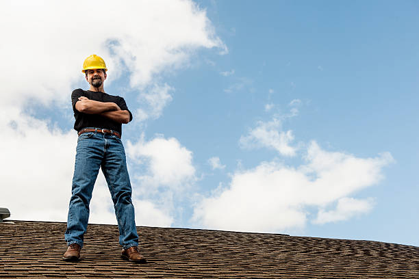Roof Gutter Cleaning in Altavista, VA